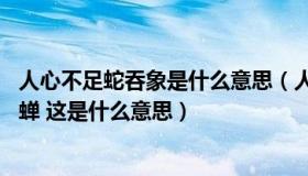 人心不足蛇吞象是什么意思（人心不足蛇吞象 世事到头螳捕蝉 这是什么意思）