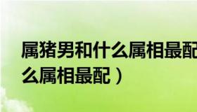 属猪男和什么属相最配（95年属猪男的和什么属相最配）