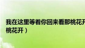 我在这里等着你回来看那桃花开（我在这儿等着你回来看那桃花开）