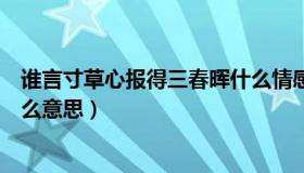 谁言寸草心报得三春晖什么情感（谁言寸草心报得三春晖什么意思）