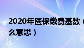 2020年医保缴费基数（医保的缴费基数是什么意思）