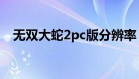 无双大蛇2pc版分辨率（无双大蛇2pc版）