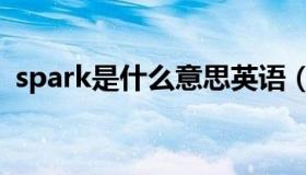 spark是什么意思英语（spark是什么意思）