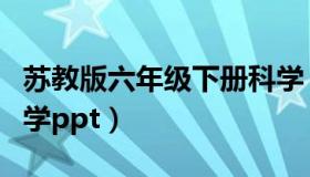 苏教版六年级下册科学（苏教版六年级下册数学ppt）