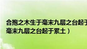 合抱之木生于毫末九层之台起于累土的意思（合抱之木生于毫末九层之台起于累土）