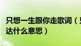 只想一生跟你走歌词（只想一生跟你走歌词表达什么意思）