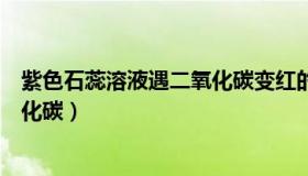 紫色石蕊溶液遇二氧化碳变红的原因（紫色石蕊溶液遇二氧化碳）