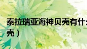 泰拉瑞亚海神贝壳有什么用（泰拉瑞亚海神贝壳）