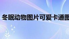 冬眠动物图片可爱卡通图片（冬眠动物图片）