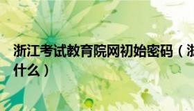 浙江考试教育院网初始密码（浙江网税系统用户名和密码是什么）