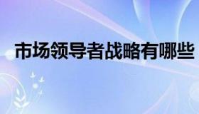 市场领导者战略有哪些（市场领导者战略）