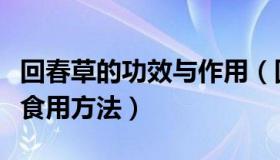 回春草的功效与作用（回春草的功效与作用及食用方法）