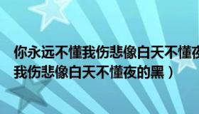 你永远不懂我伤悲像白天不懂夜的黑什么意思（你永远不懂我伤悲像白天不懂夜的黑）