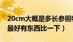 20cm大概是多长参照物（20cm大概是多大最好有东西比一下）