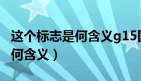 这个标志是何含义g15国家高速（这个标志是何含义）