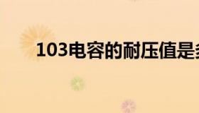 103电容的耐压值是多少（103电容）