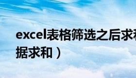 excel表格筛选之后求和（excel筛选后的数据求和）