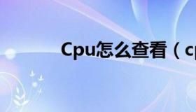 Cpu怎么查看（cpu怎么查看）