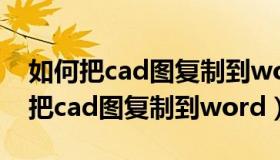 如何把cad图复制到word中操作视频（如何把cad图复制到word）