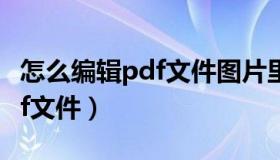 怎么编辑pdf文件图片里的文字（怎么编辑pdf文件）