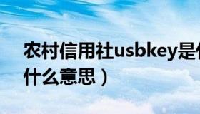 农村信用社usbkey是什么意思（usbkey是什么意思）