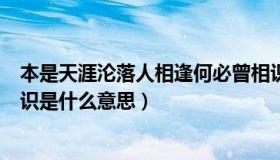 本是天涯沦落人相逢何必曾相识是什么意思（相逢何必曾相识是什么意思）