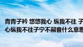 青青子衿 悠悠我心 纵我不往 子宁不嗣音?（青青子衿悠悠我心纵我不往子宁不嗣音什么意思）