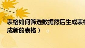 表格如何筛选数据然后生成表格（excel如何筛选数据并生成新的表格）