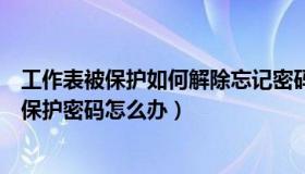 工作表被保护如何解除忘记密码（忘记了Excel2013工作表保护密码怎么办）