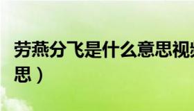 劳燕分飞是什么意思视频（劳燕分飞是什么意思）