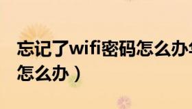 忘记了wifi密码怎么办华为（忘记了wifi密码怎么办）