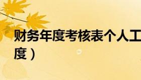 财务年度考核表个人工作总结2022（财务年度）