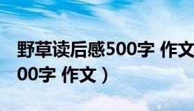 野草读后感500字 作文怎么写（野草读后感500字 作文）