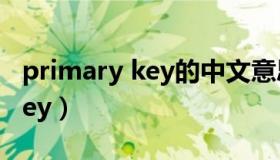 primary key的中文意思是什么（primary key）