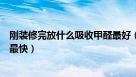 刚装修完放什么吸收甲醛最好（刚装修的房子放什么去甲醛最快）