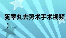 狗睾丸去势术手术视频（人睾丸去势手术视频）