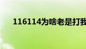 116114为啥老是打我电话（116114）