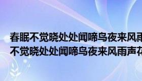 春眠不觉晓处处闻啼鸟夜来风雨声花落知多少的英文（春眠不觉晓处处闻啼鸟夜来风雨声花落知多少）