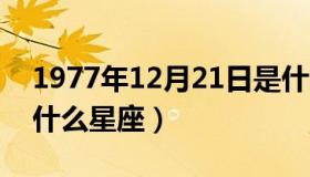 1977年12月21日是什么星座（12月21日是什么星座）