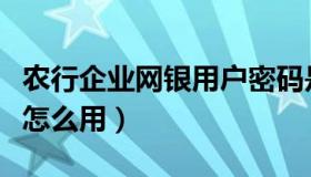 农行企业网银用户密码是什么（农行企业网银怎么用）