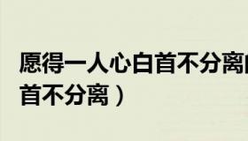 愿得一人心白首不分离的意思（愿得一人心白首不分离）