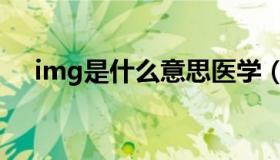 img是什么意思医学（img是什么意思）