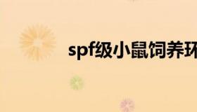 spf级小鼠饲养环境（spf级）