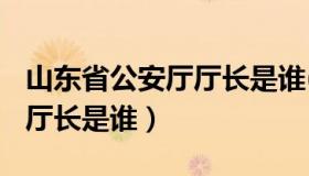 山东省公安厅厅长是谁(现在)（山东省公安厅厅长是谁）