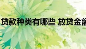 贷款种类有哪些 放贷金额（贷款种类有哪些）