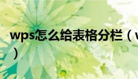 wps怎么给表格分栏（wps表格如何分栏排版）