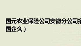 国元农业保险公司安徽分公司招聘（滁州国元农业保险属于国企么）