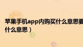 苹果手机app内购买什么意思要钱吗?（苹果手机app内购买什么意思）