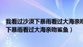 我看过沙漠下暴雨看过大海亲吻鲨鱼是什么歌（我看过沙漠下暴雨看过大海亲吻鲨鱼）