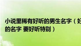 小说里稀有好听的男生名字（好听的男生名字 就是小说里面的名字 要好听特别）